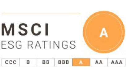MSCI ESG Rating